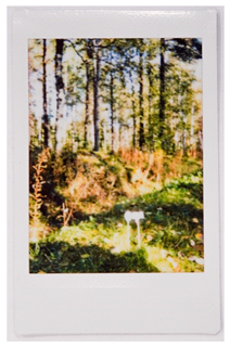 Societies 15 00219 i047 Societies 15 00219 i047