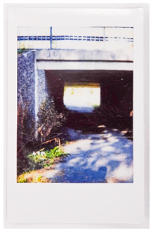 Societies 15 00219 i048 Societies 15 00219 i048