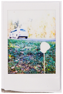 Societies 15 00219 i050 Societies 15 00219 i050