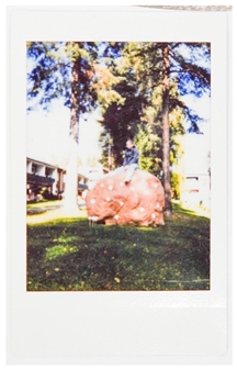 Societies 15 00219 i052 Societies 15 00219 i052