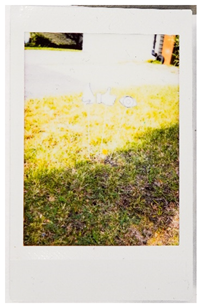 Societies 15 00219 i053 Societies 15 00219 i053