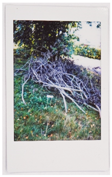 Societies 15 00219 i054 Societies 15 00219 i054