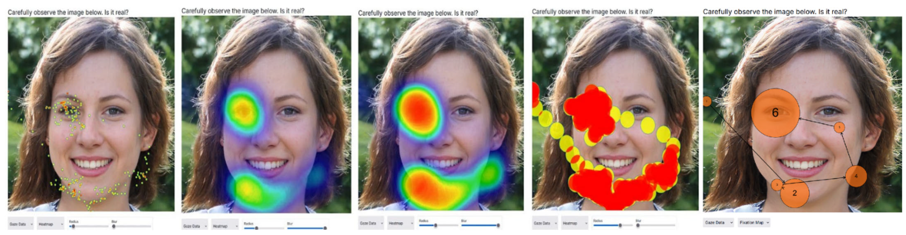 Societies 15 00233 g006