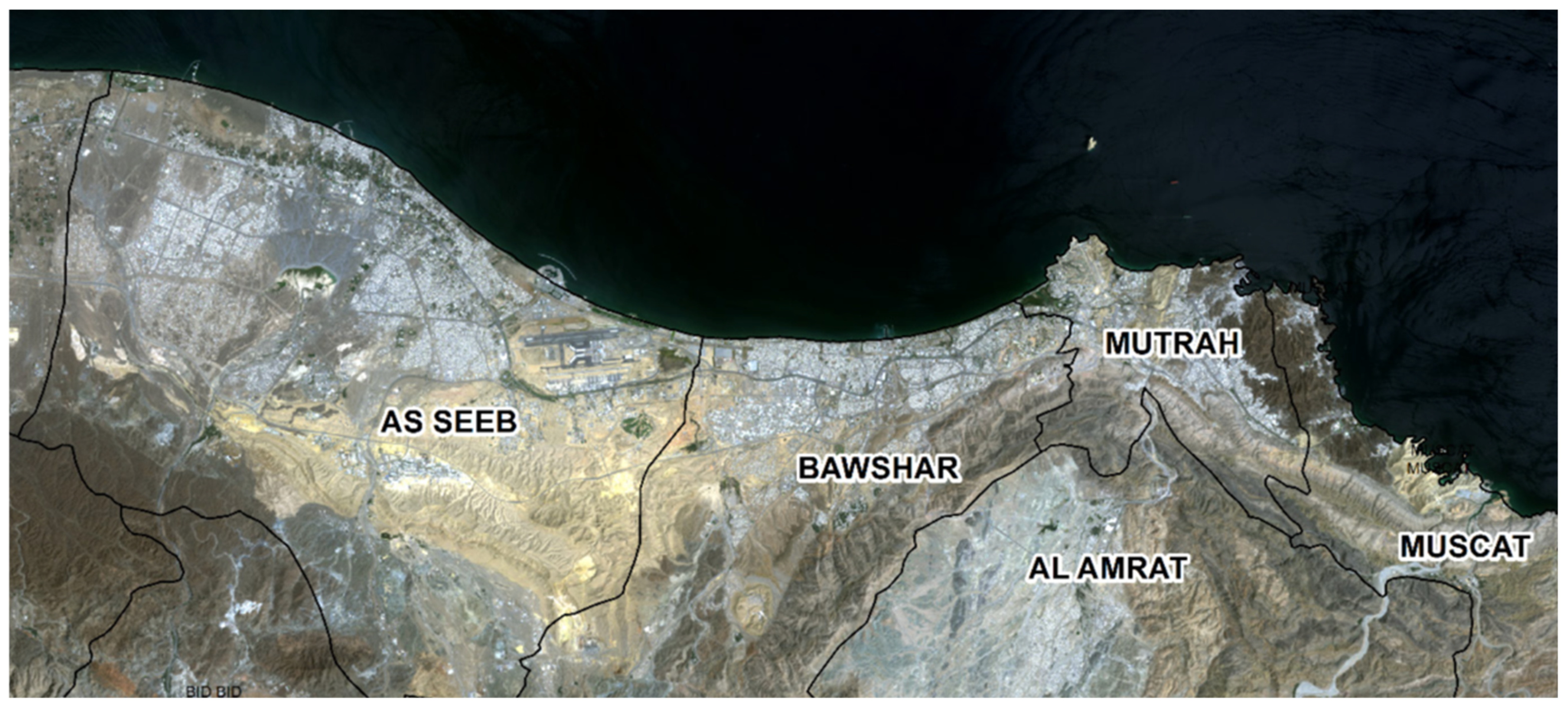 Societies 15 00250 g003