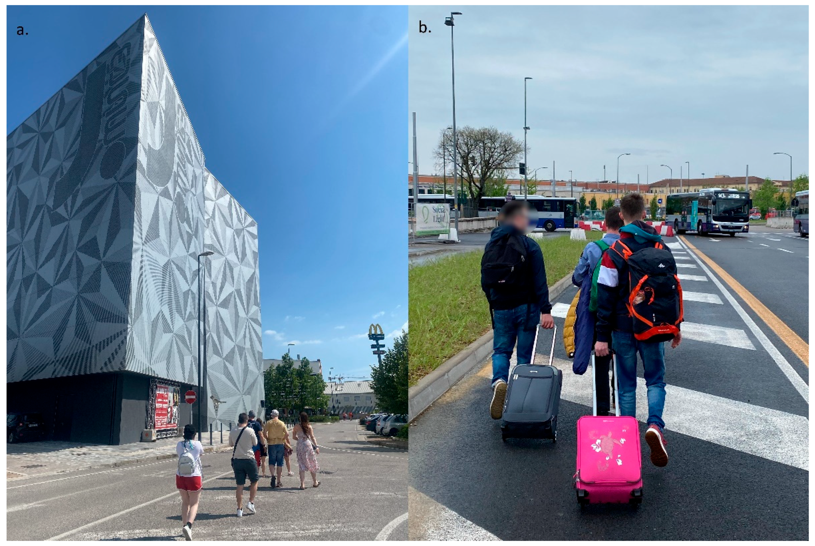 Societies 16 00049 g003