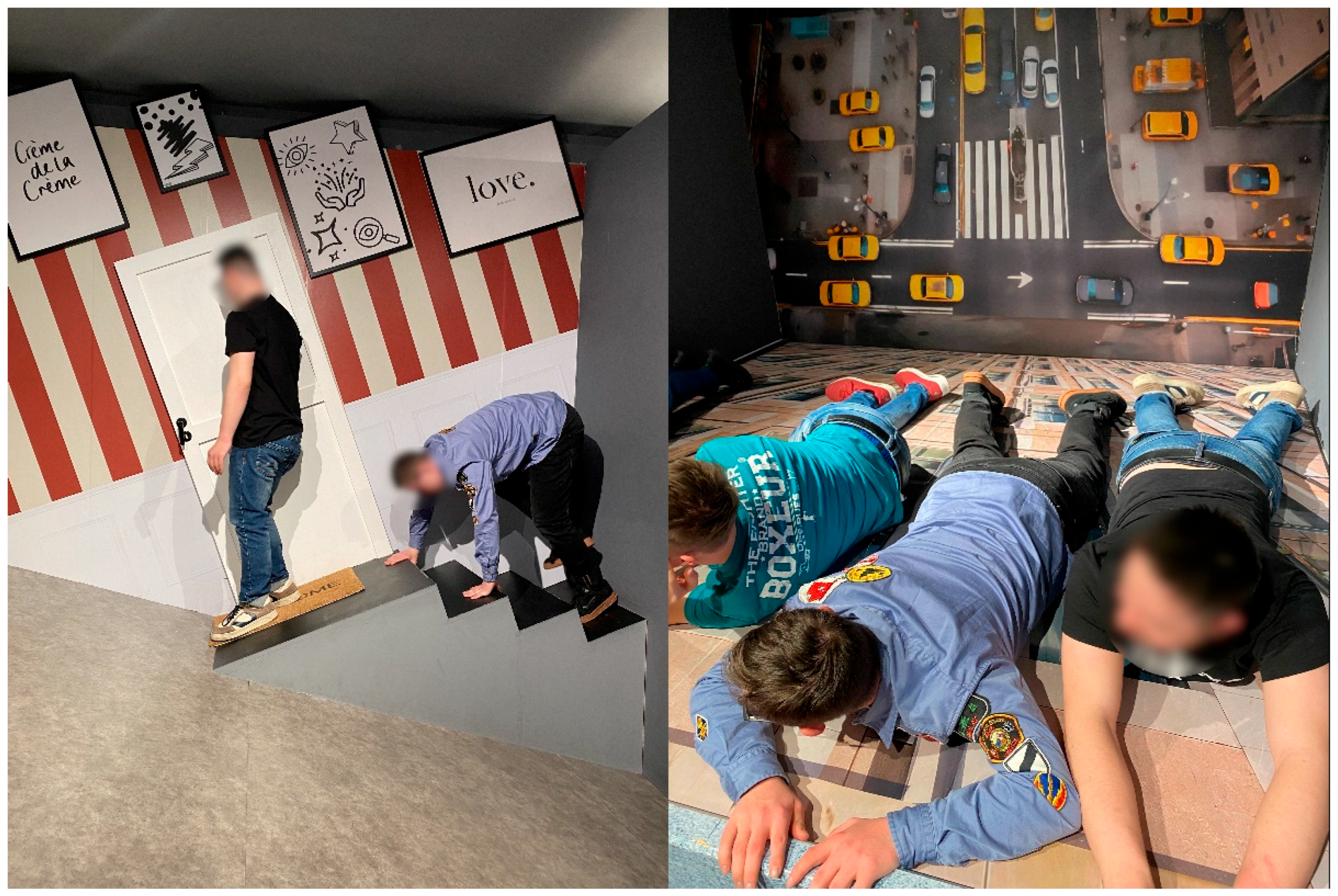 Societies 16 00049 g005