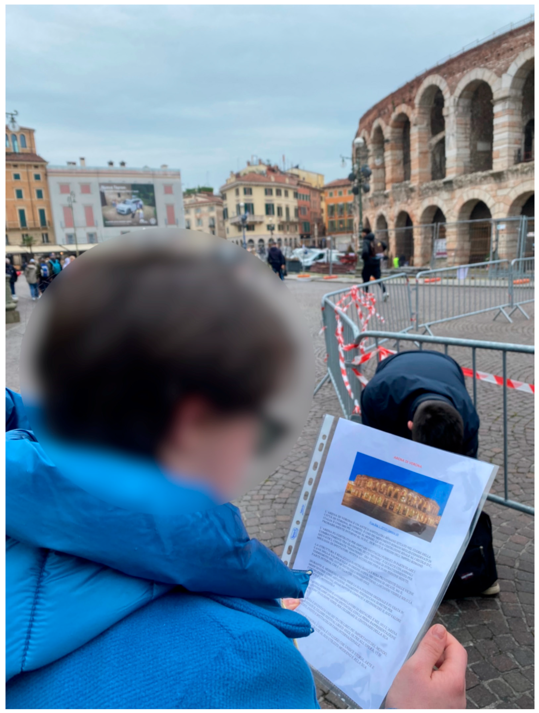 Societies 16 00049 g006