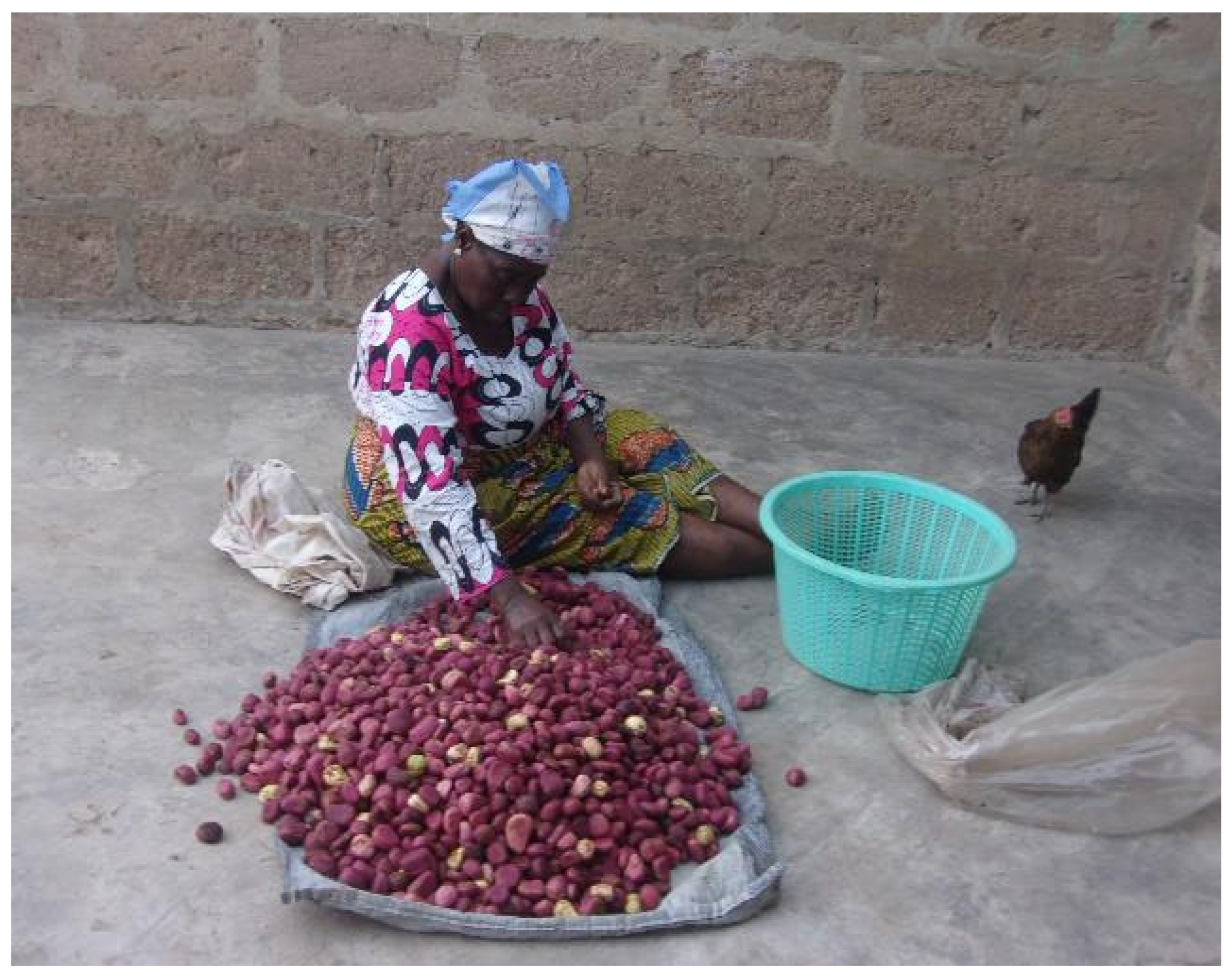 Societies 16 00095 g003 Societies 16 00095 g003