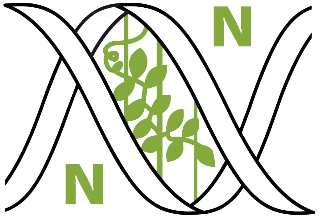 Spanish Society for Nitrogen Fixation  (SEFIN)