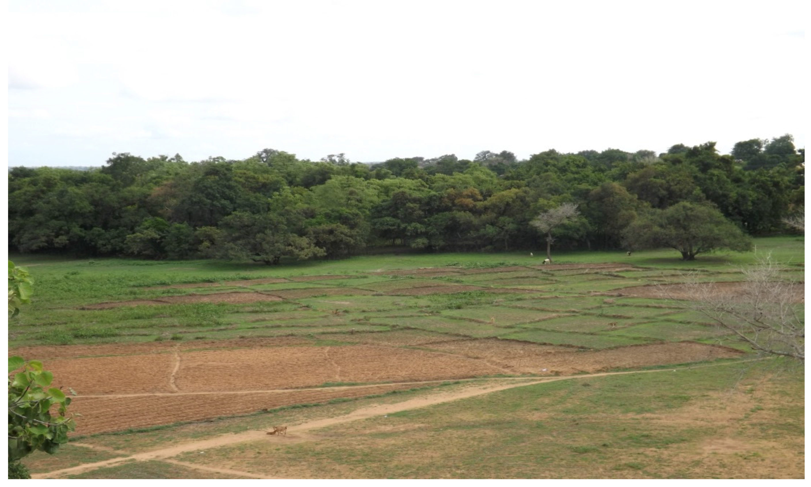 Socsci 06 00035 g002