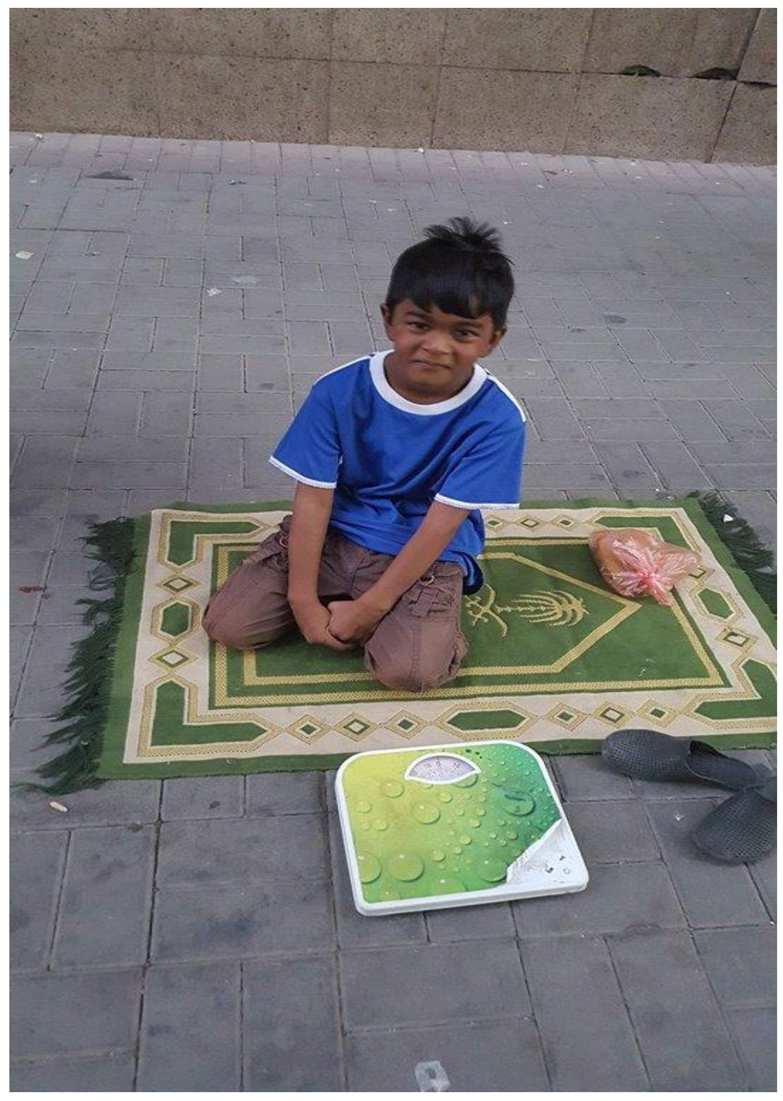 Socsci 06 00036 g021