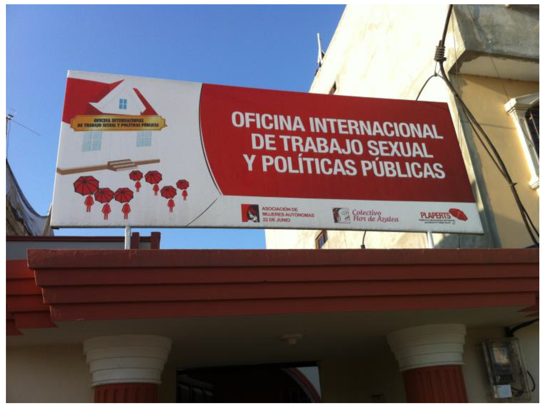 Socsci 06 00042 g004