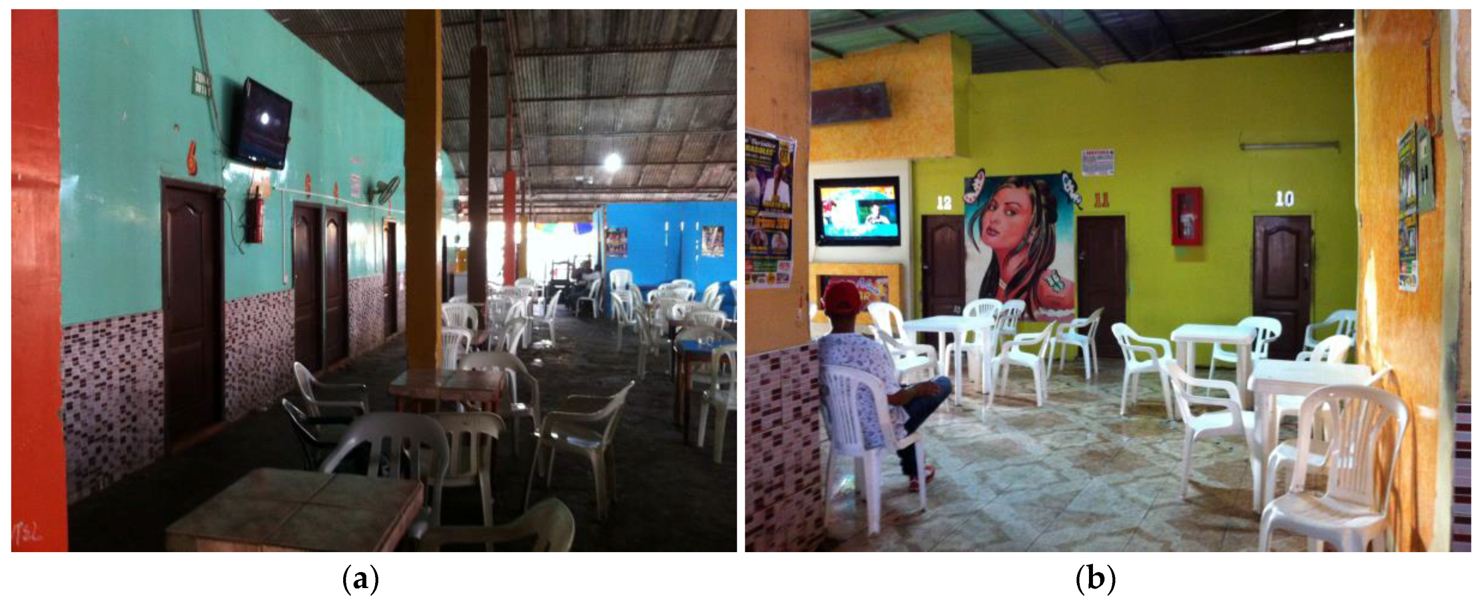 Socsci 06 00042 g005