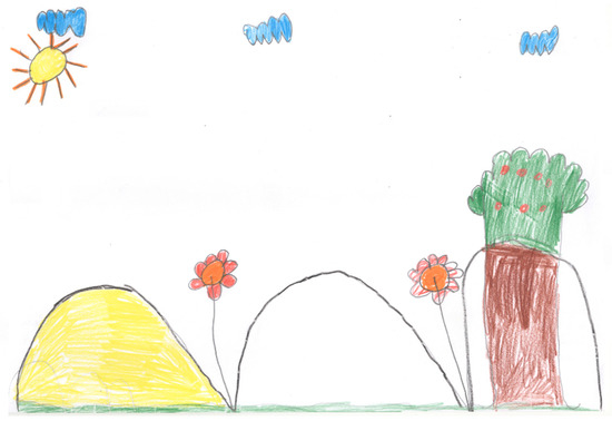 Socsci 06 00095 g002 550