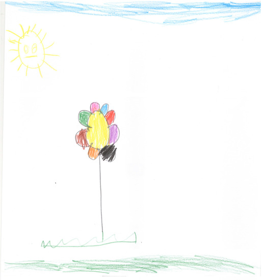 Socsci 06 00095 g004 550