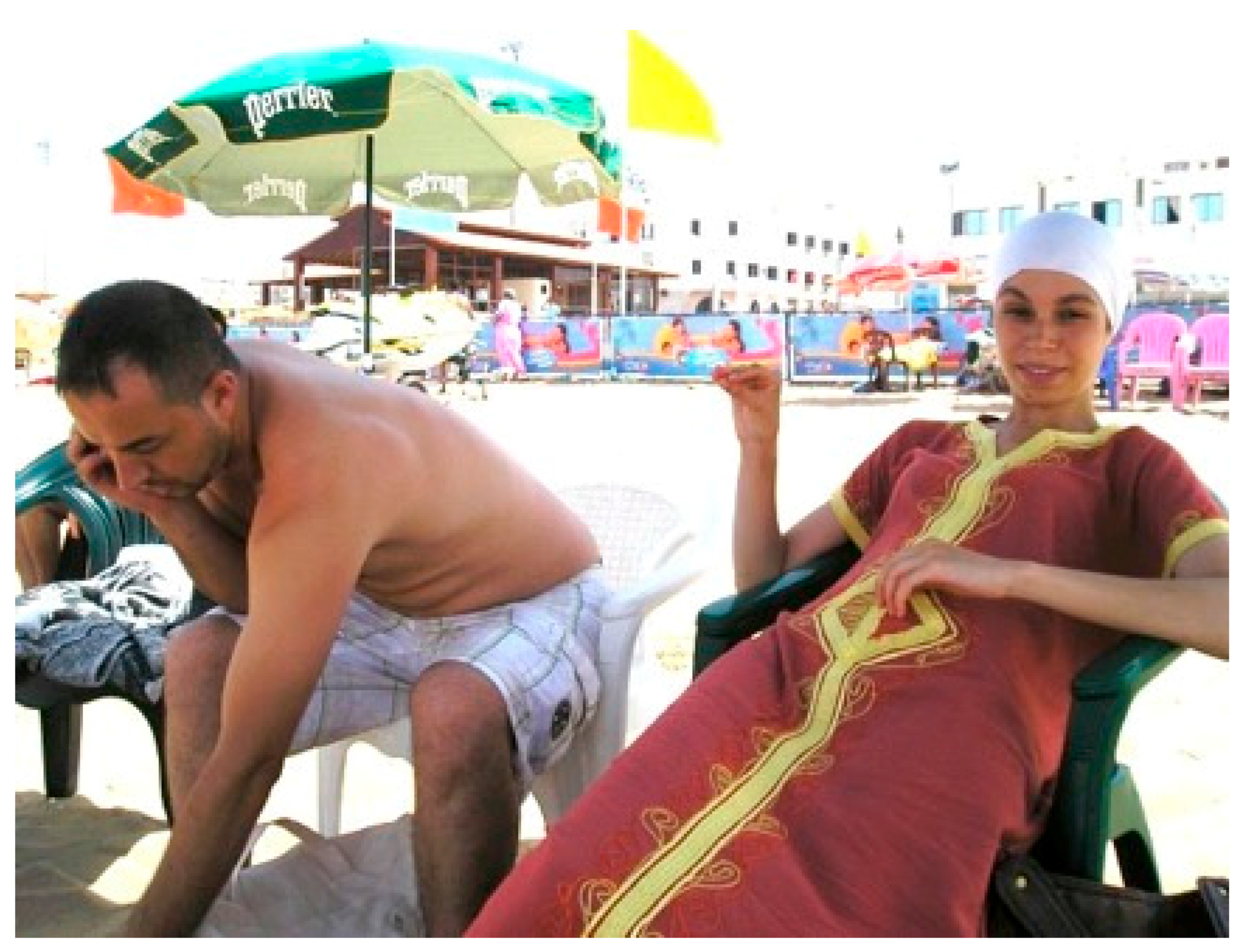 Socsci 06 00097 g001