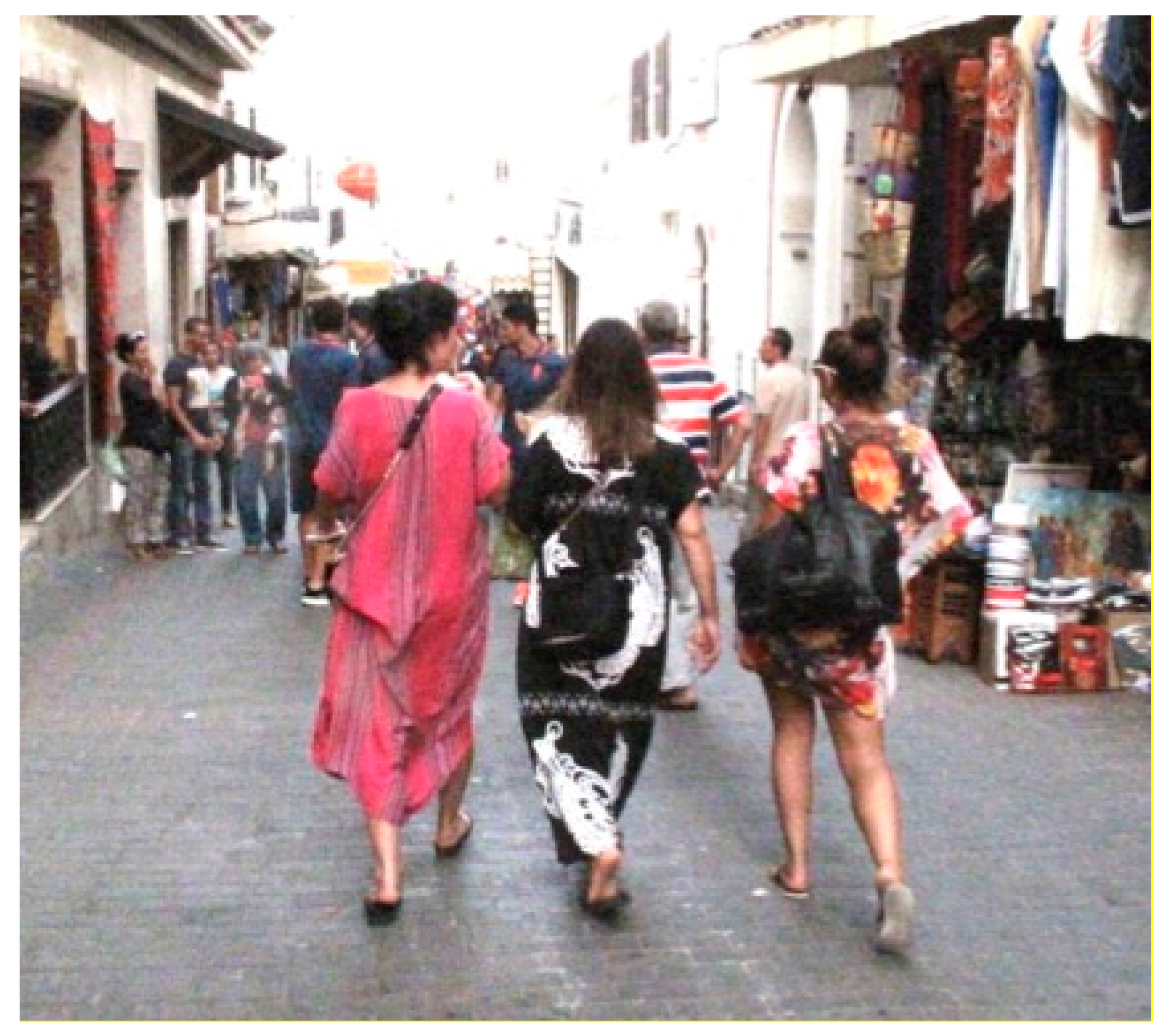 Socsci 06 00097 g002