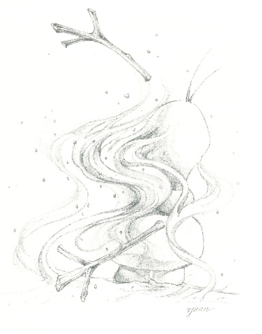 Socsci 07 00086 g001