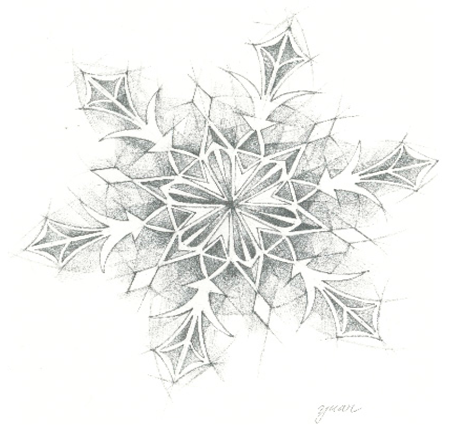 Socsci 07 00086 g002