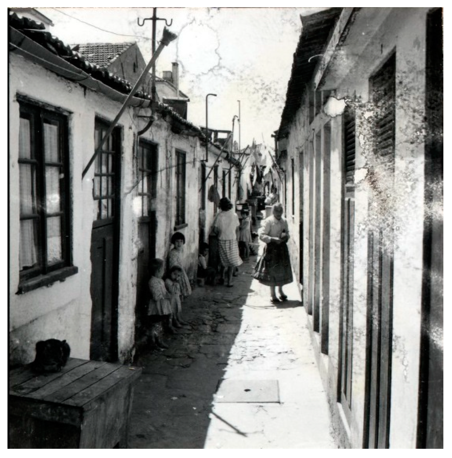 Socsci 07 00145 g002