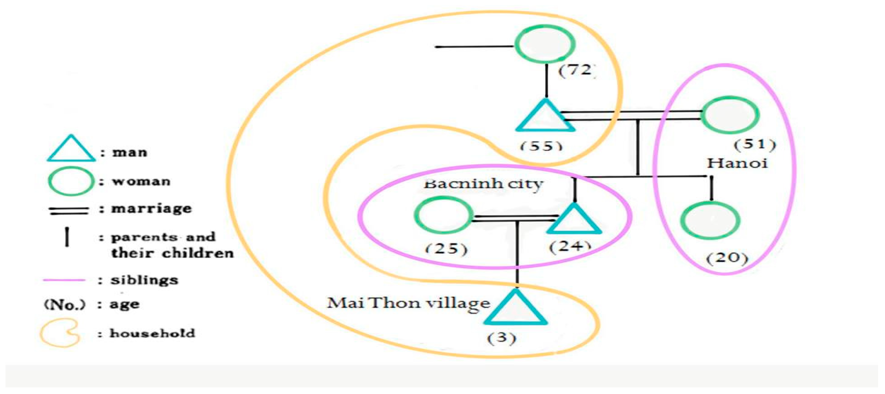 Socsci 07 00202 g001