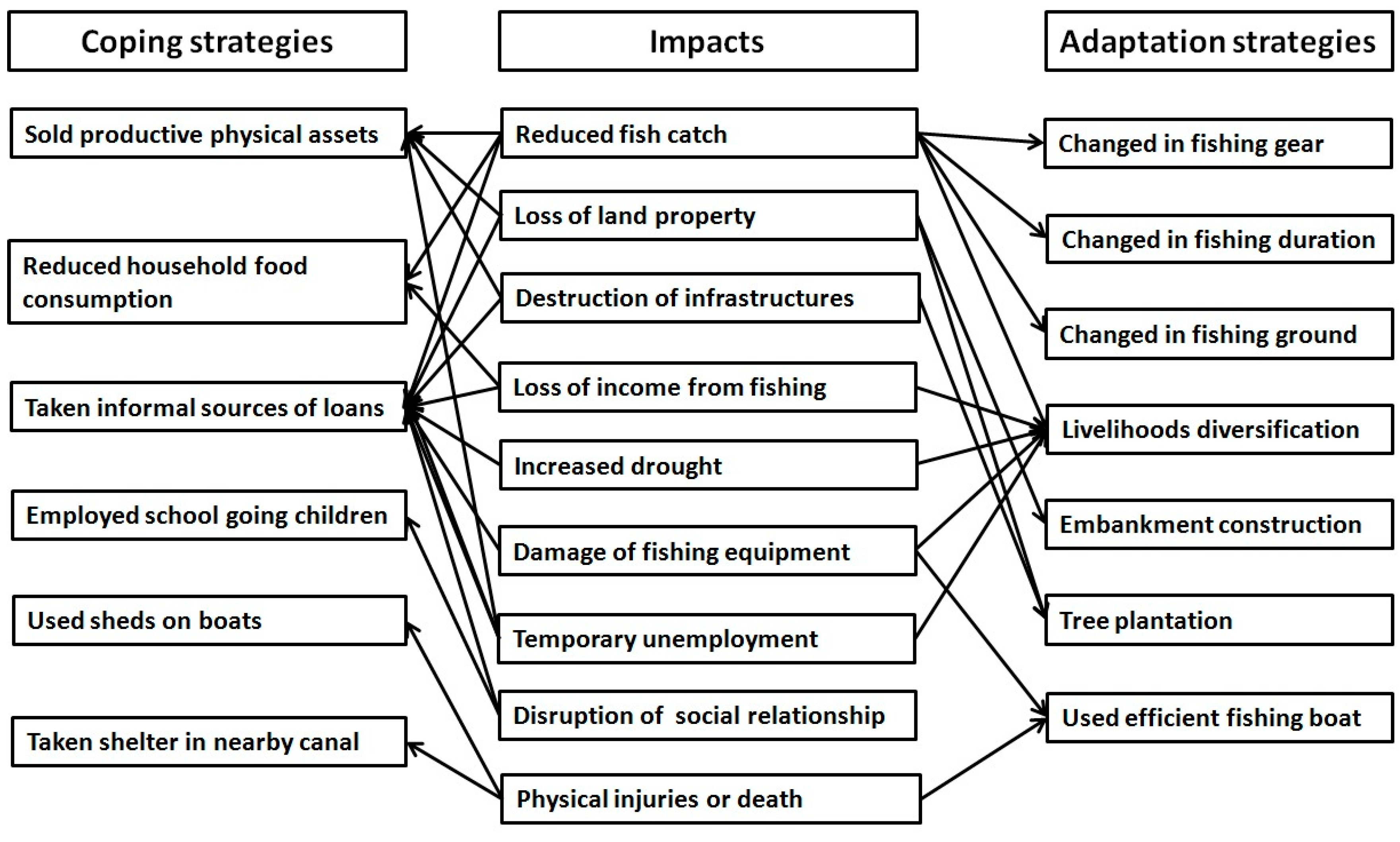 Socsci 07 00254 g005