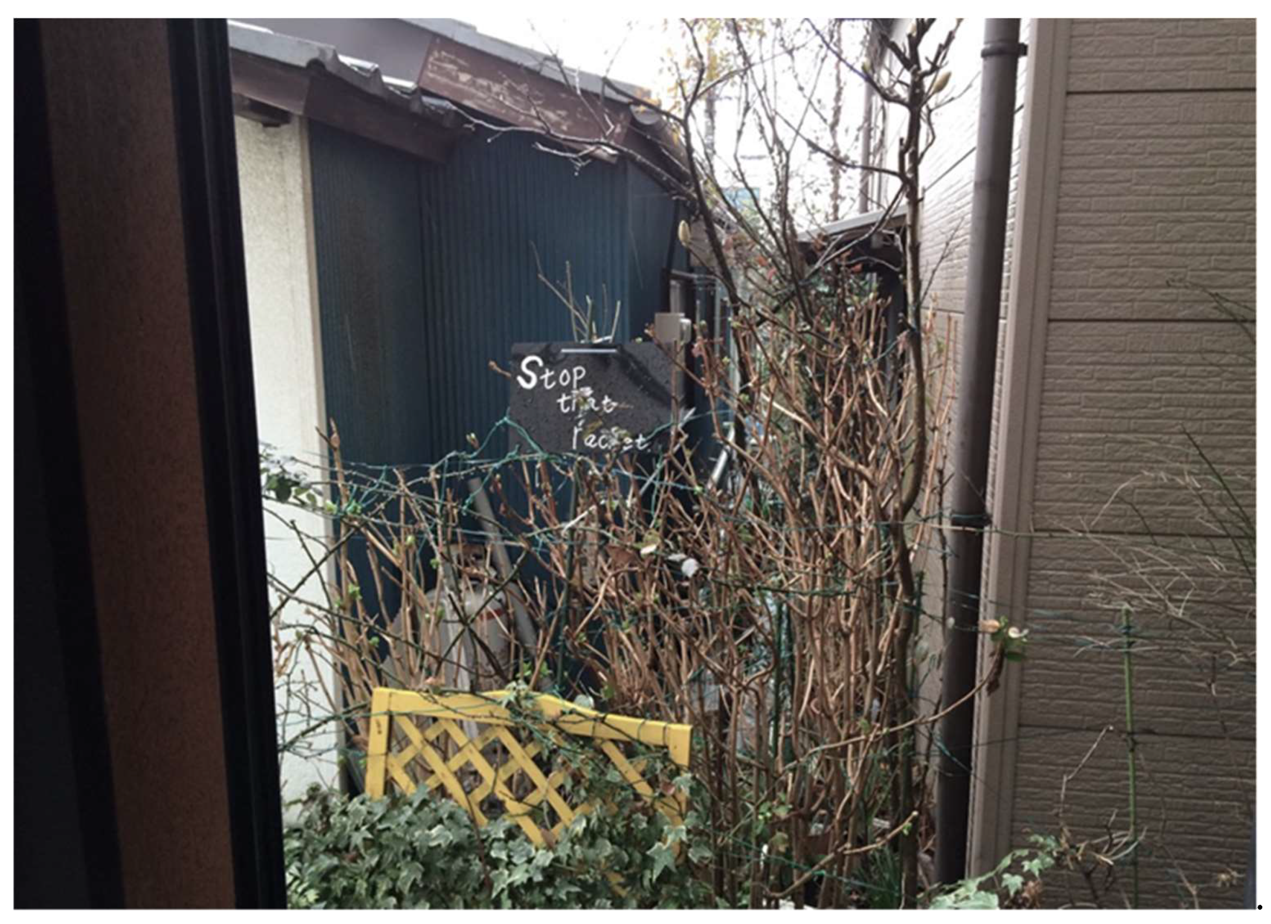 Socsci 07 00268 g003