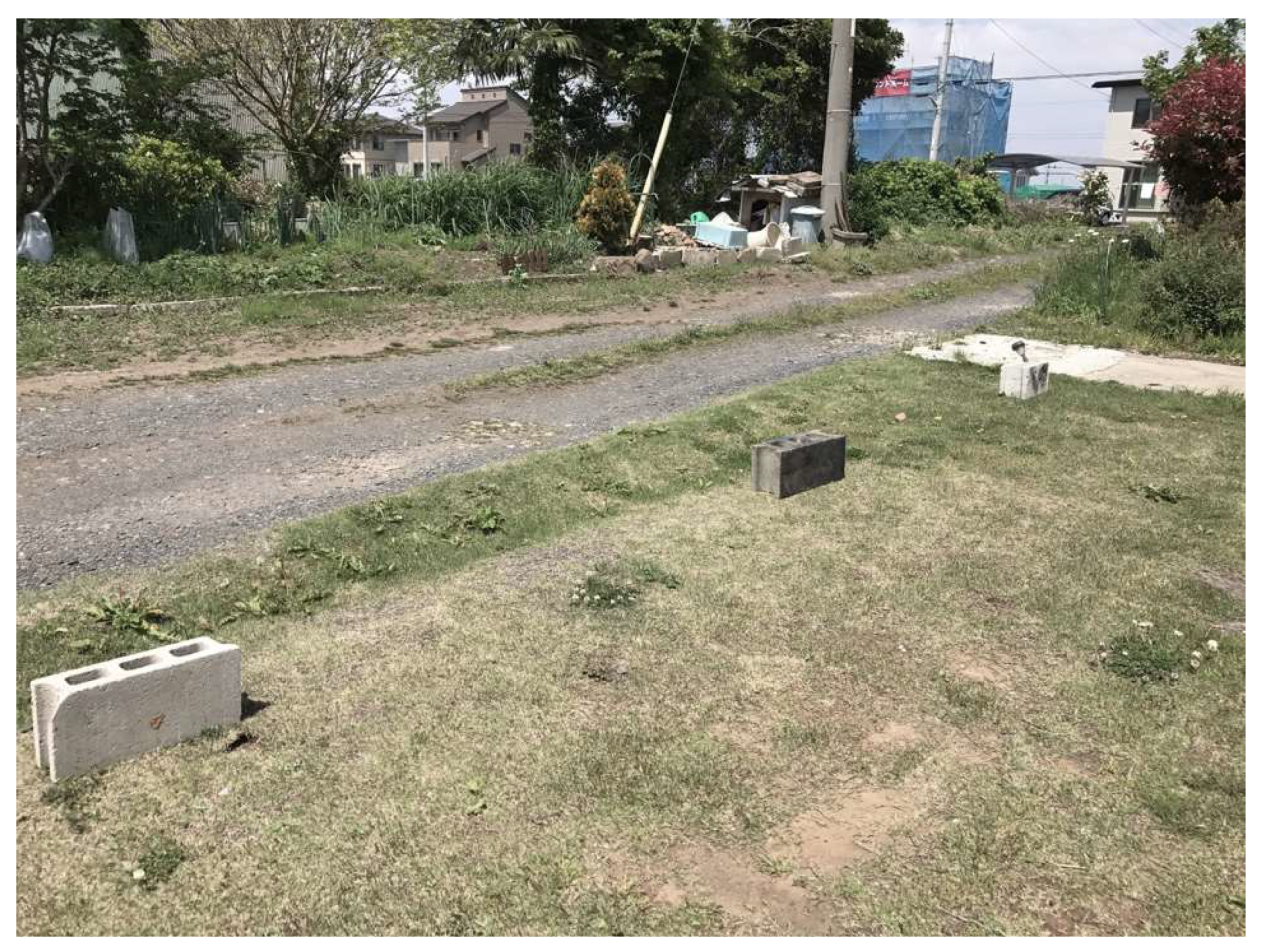 Socsci 07 00268 g005