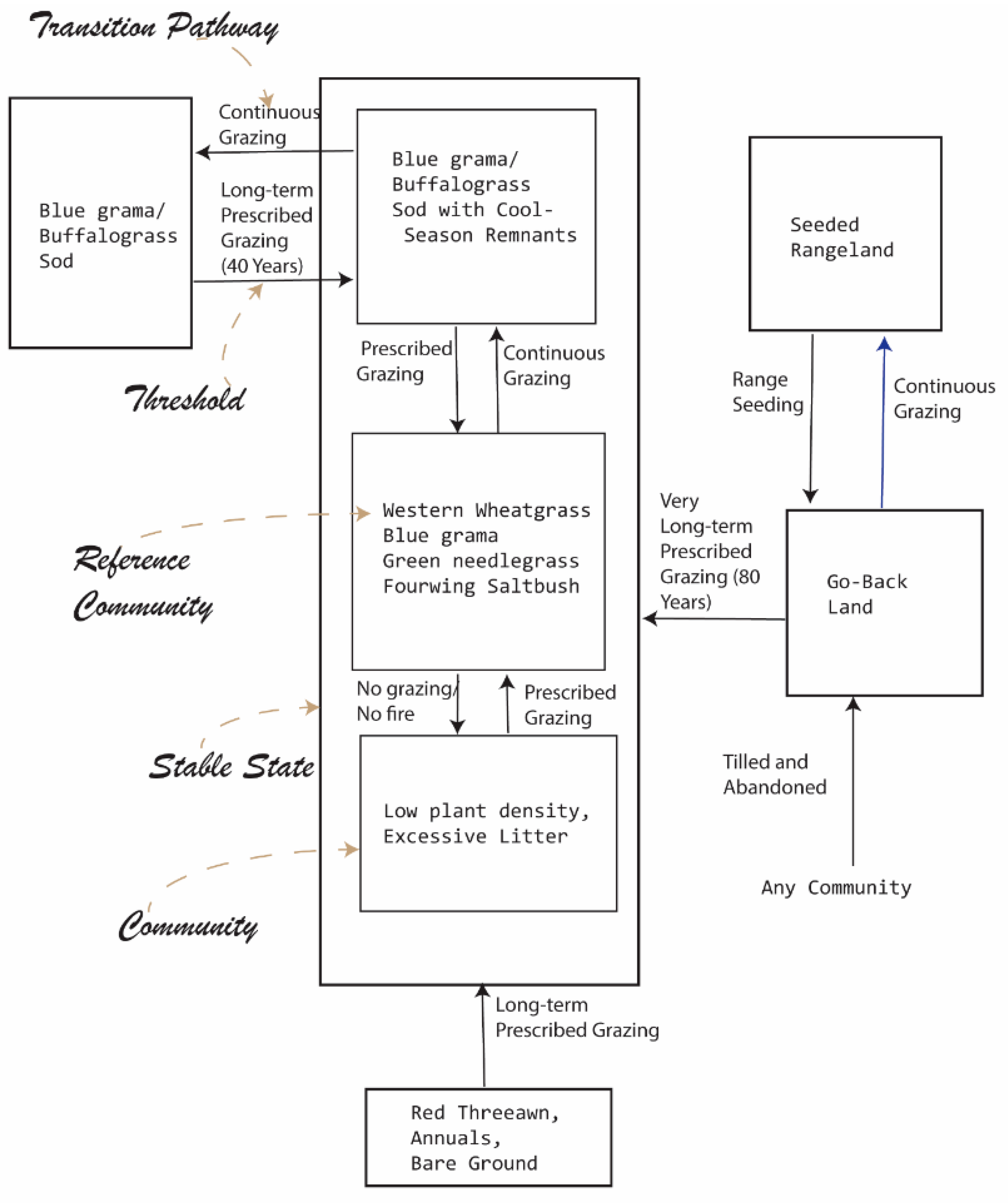 Socsci 08 00022 g004 Socsci 08 00022 g004