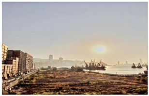 Socsci 08 00060 i002