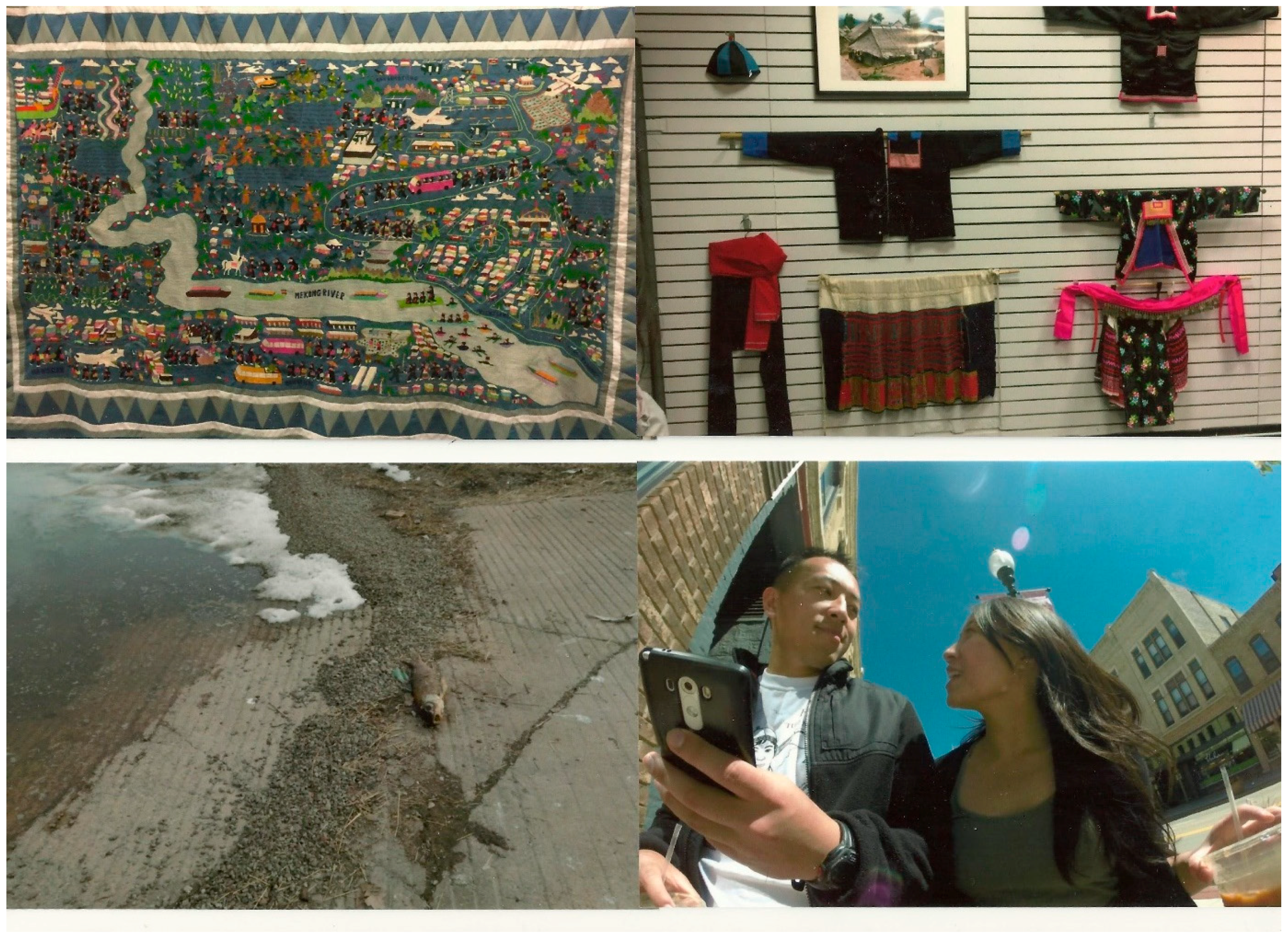 Socsci 08 00073 g001