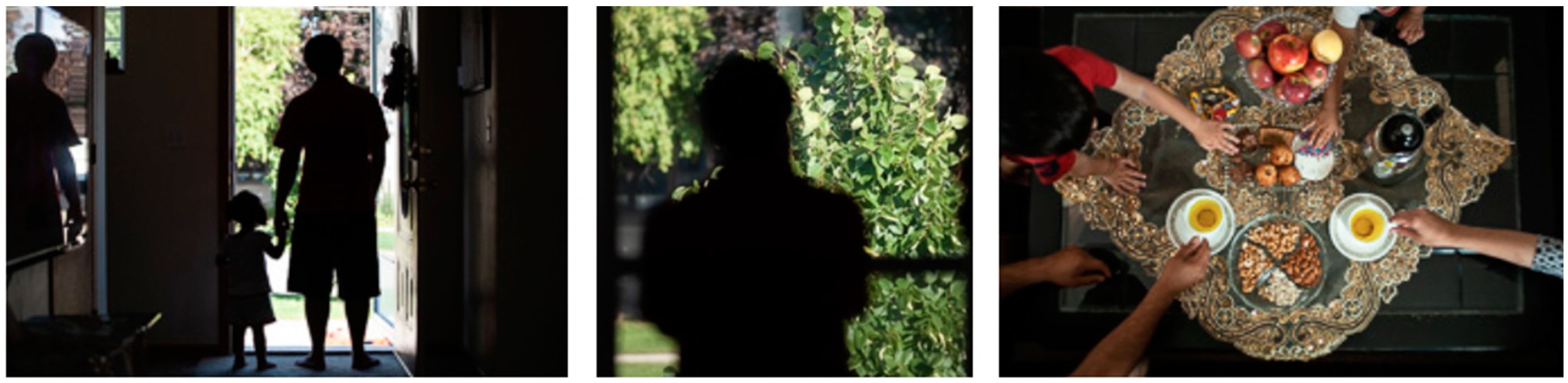 Socsci 08 00073 g006