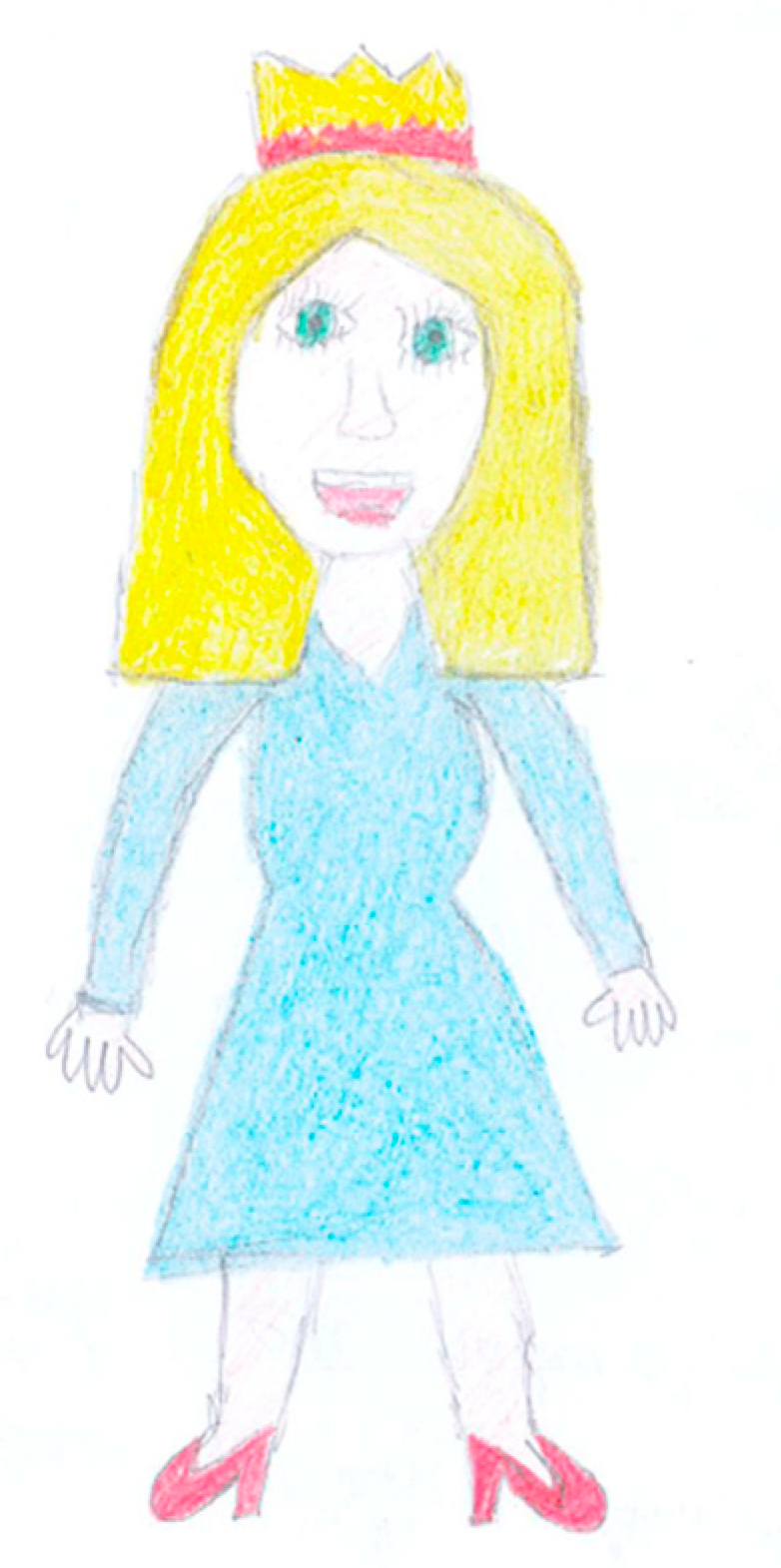 Socsci 08 00105 g007