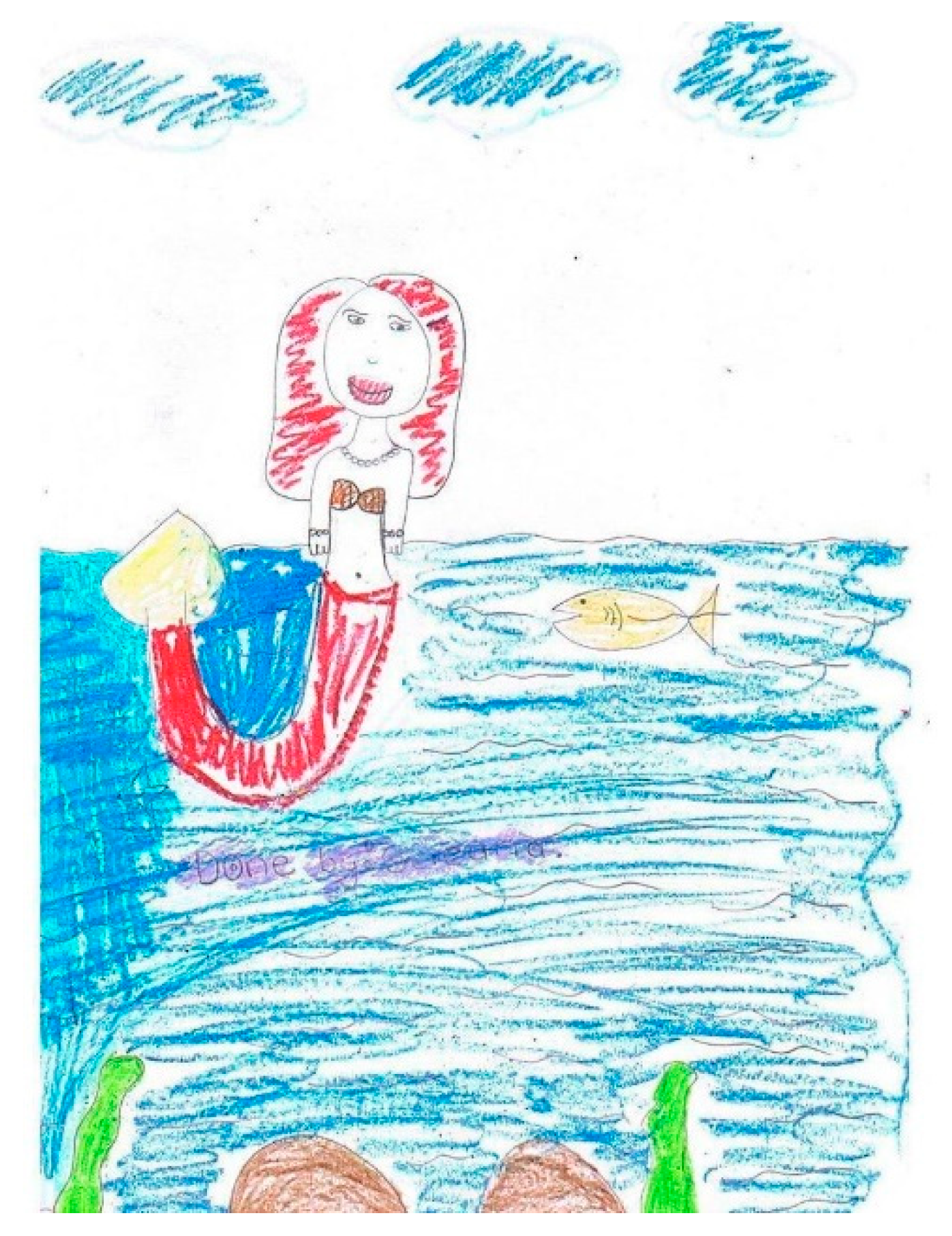 Socsci 08 00105 g009