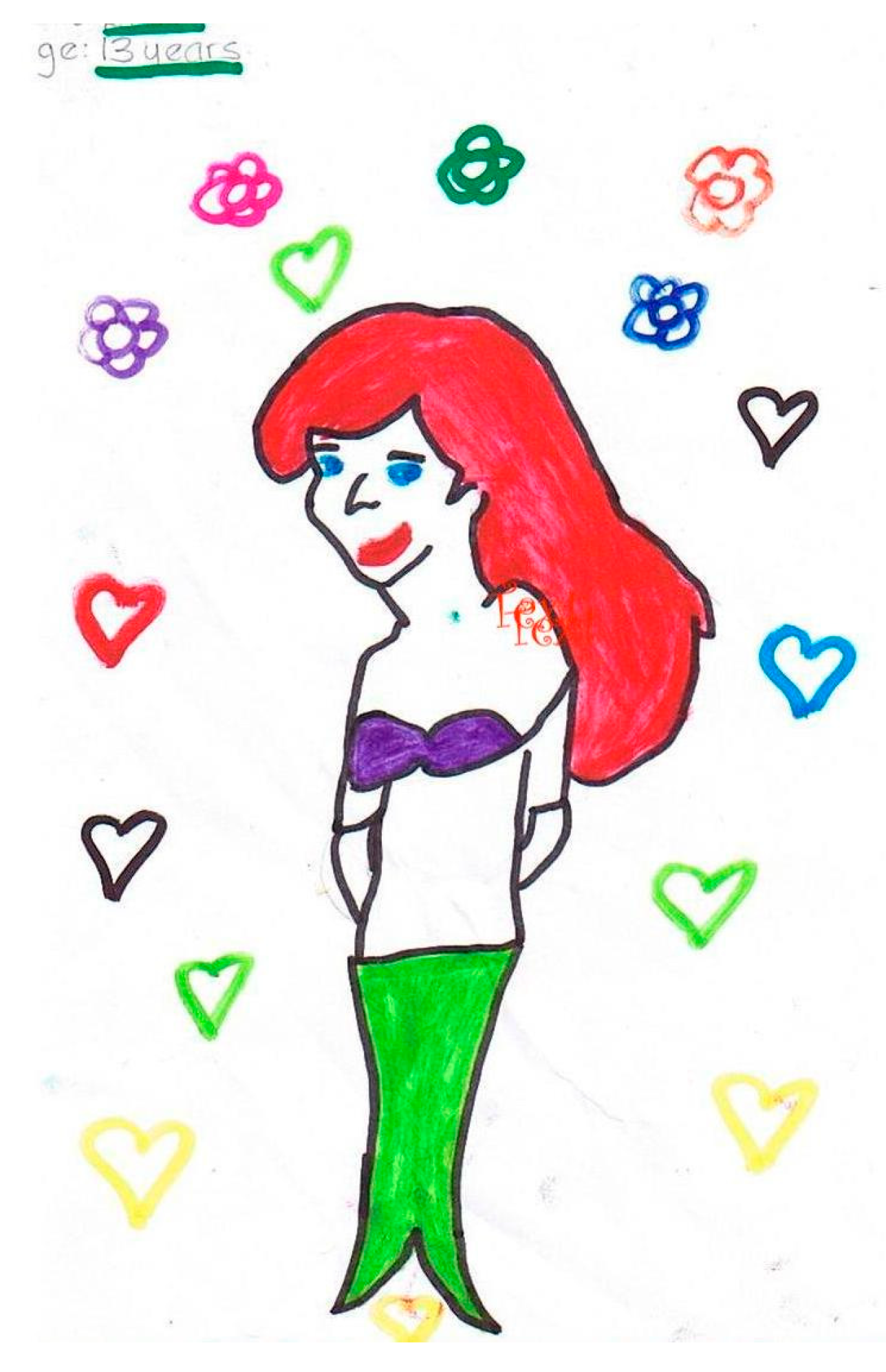 Socsci 08 00105 g010