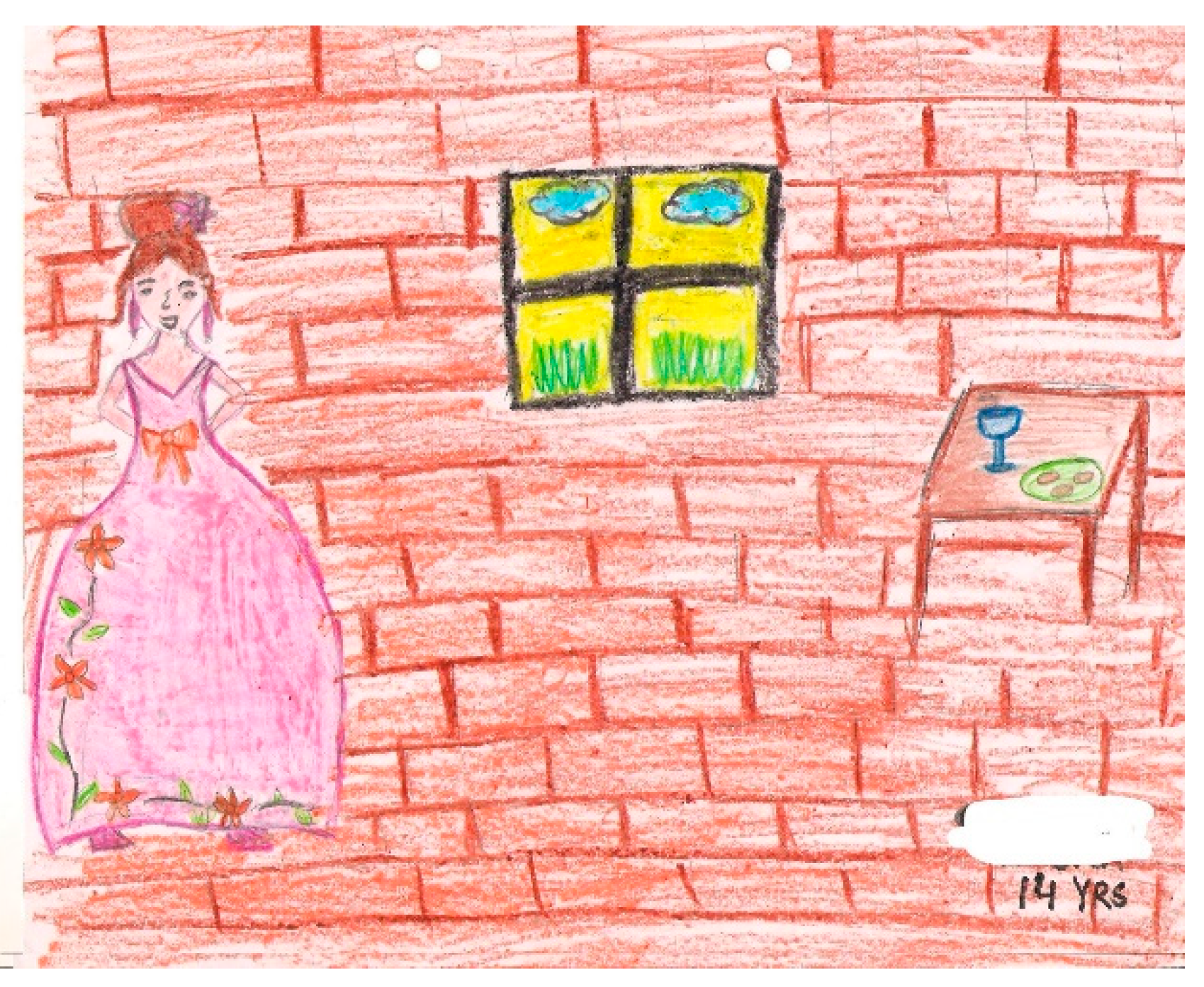 Socsci 08 00105 g015