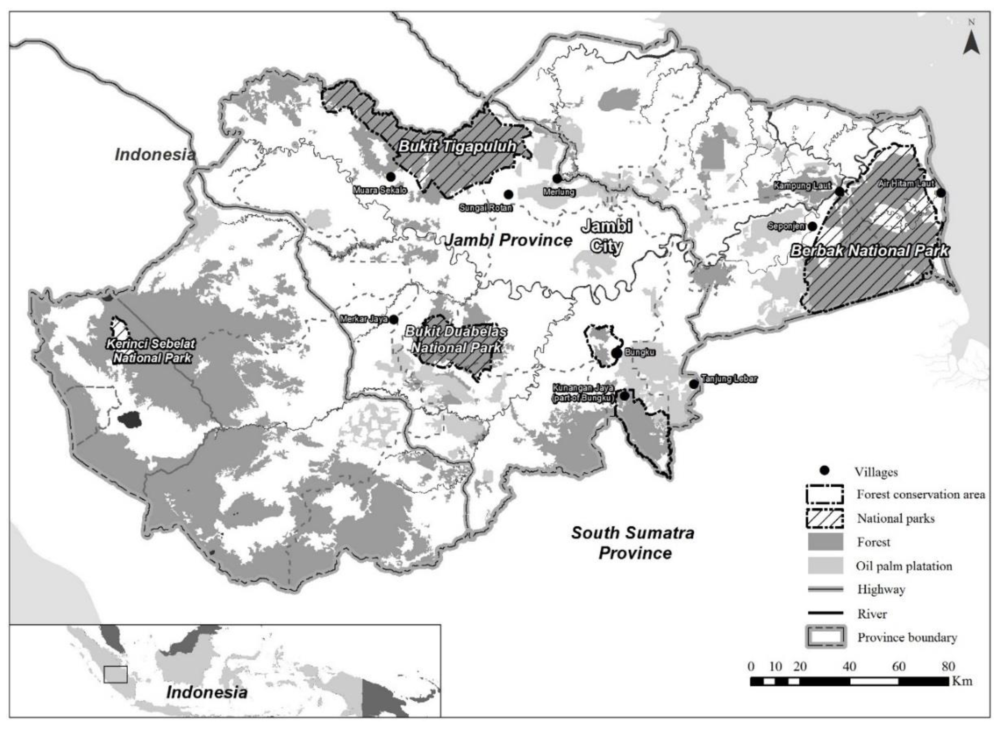 Socsci 08 00115 g001