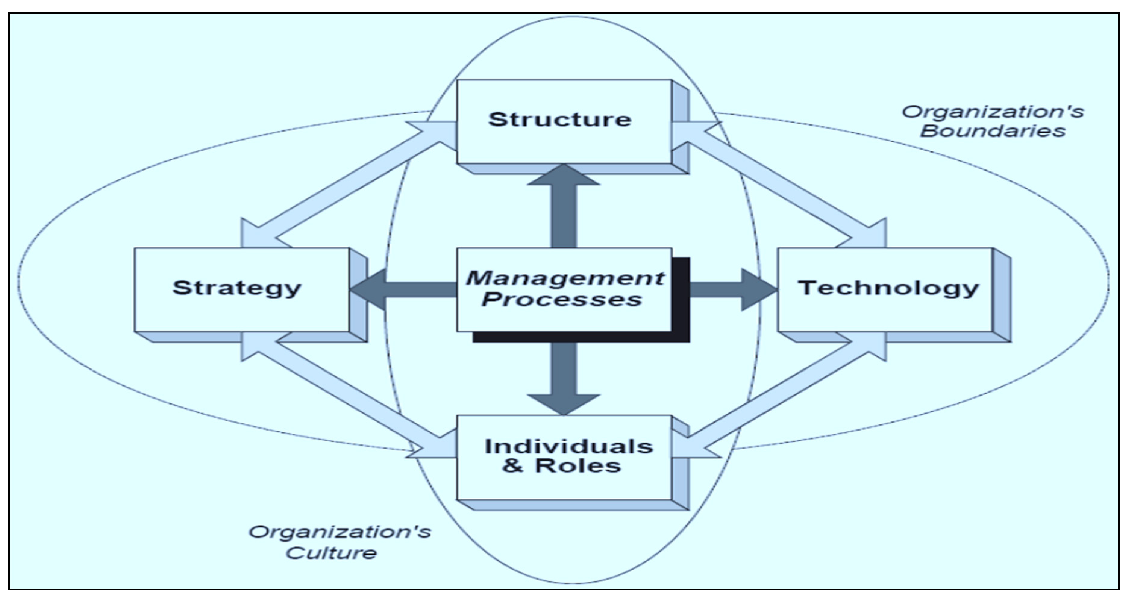 Socsci 08 00154 g004