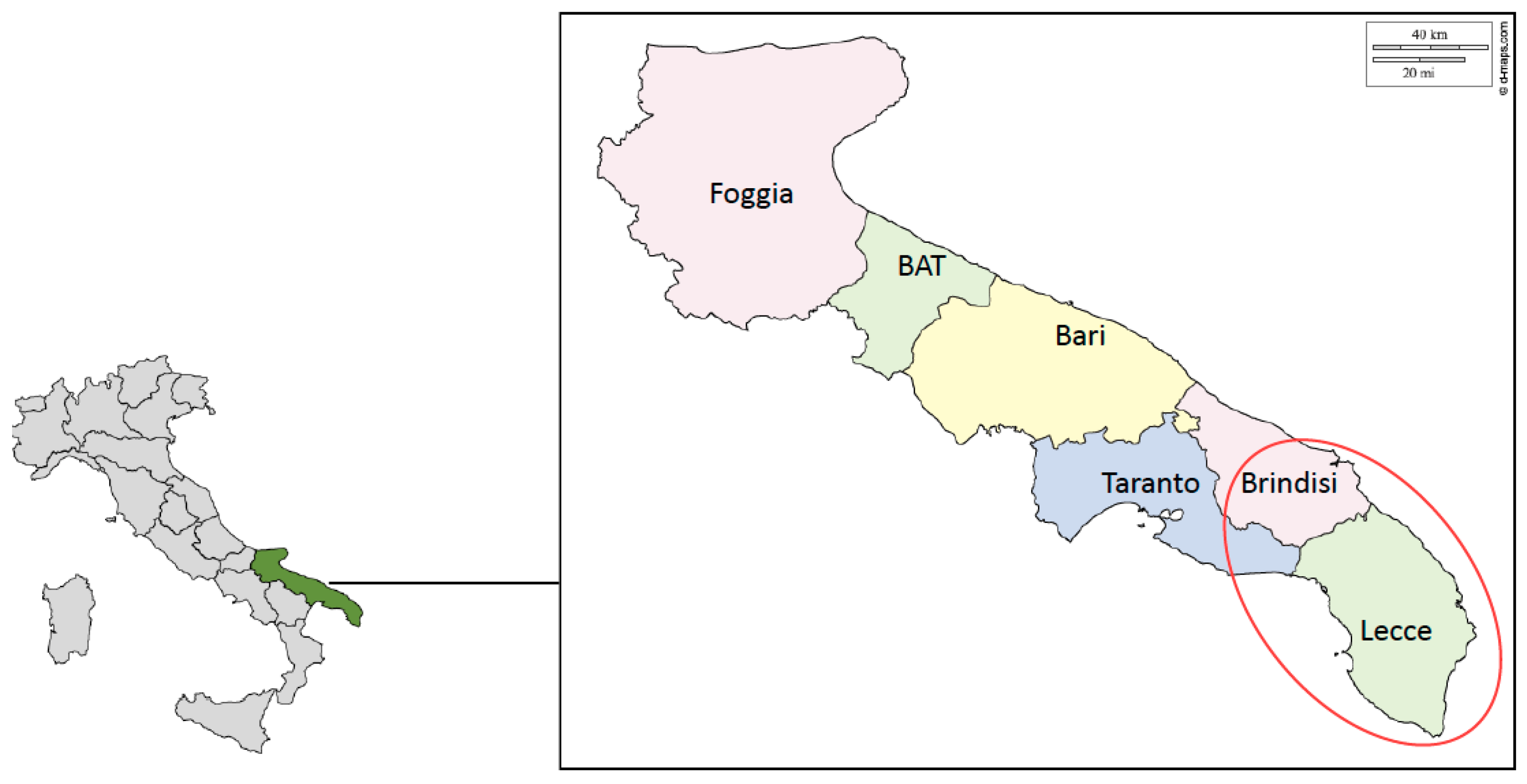 Socsci 08 00216 g002