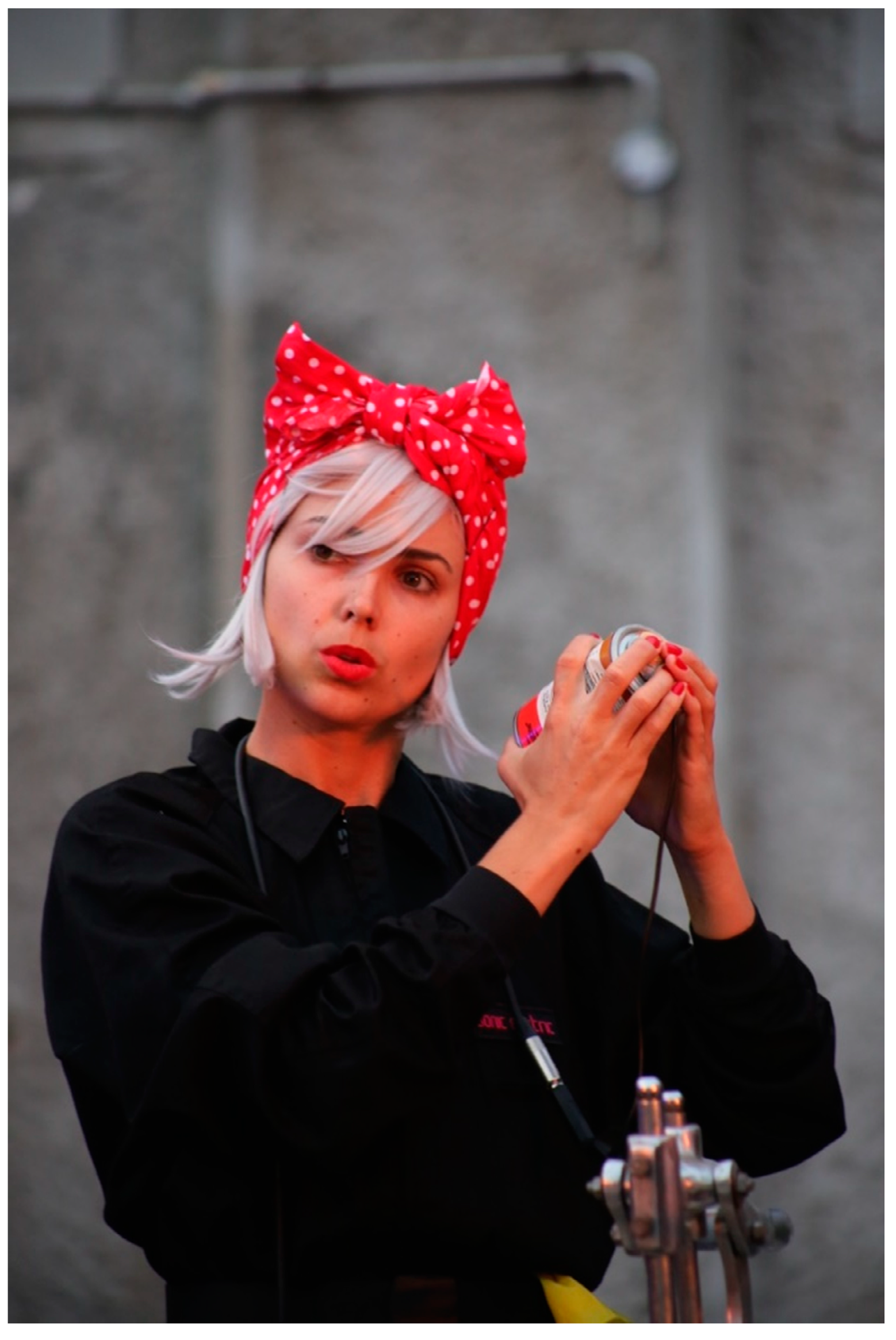 Socsci 08 00245 g002