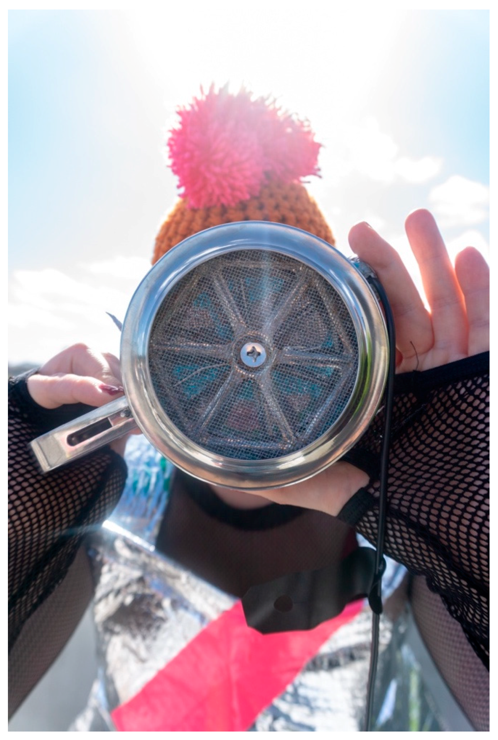 Socsci 08 00245 g010