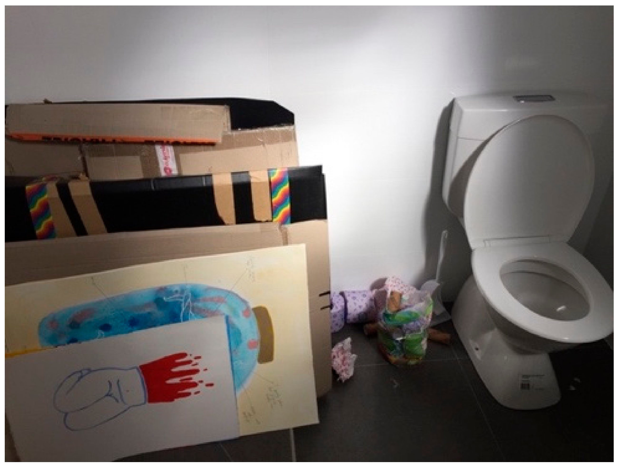 Socsci 08 00264 g009