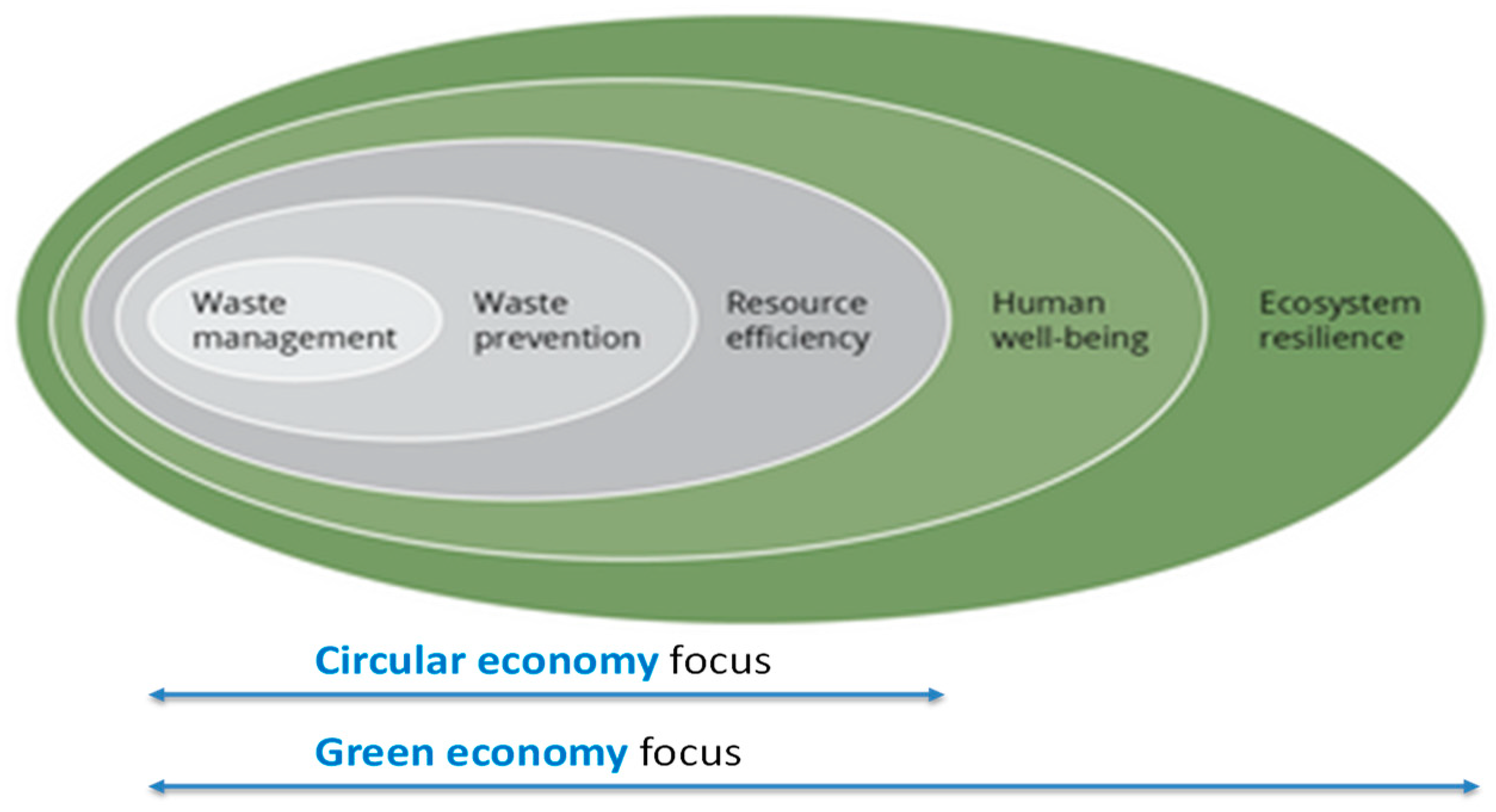 Socsci 08 00328 g001