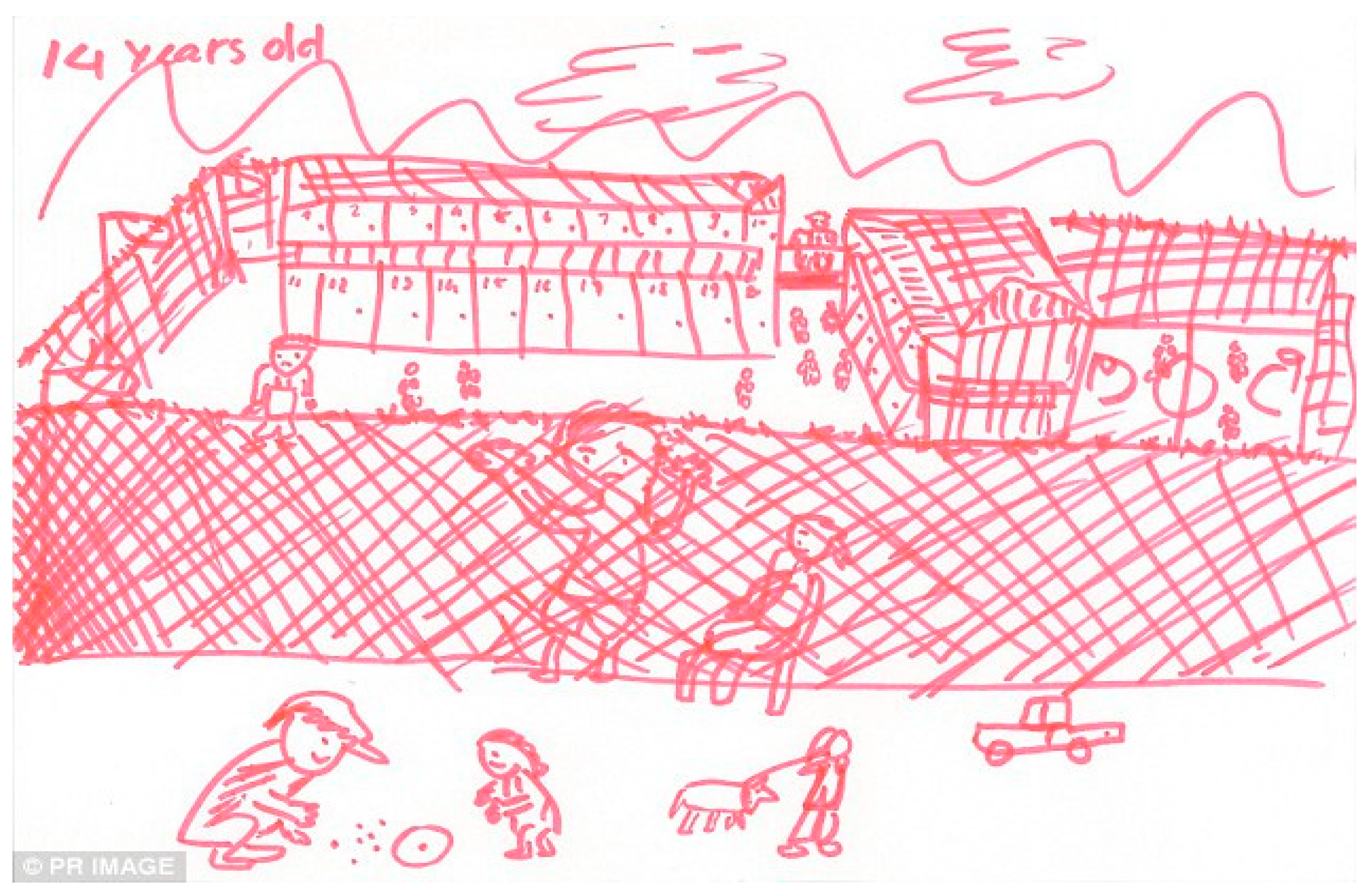 Socsci 09 00005 g004