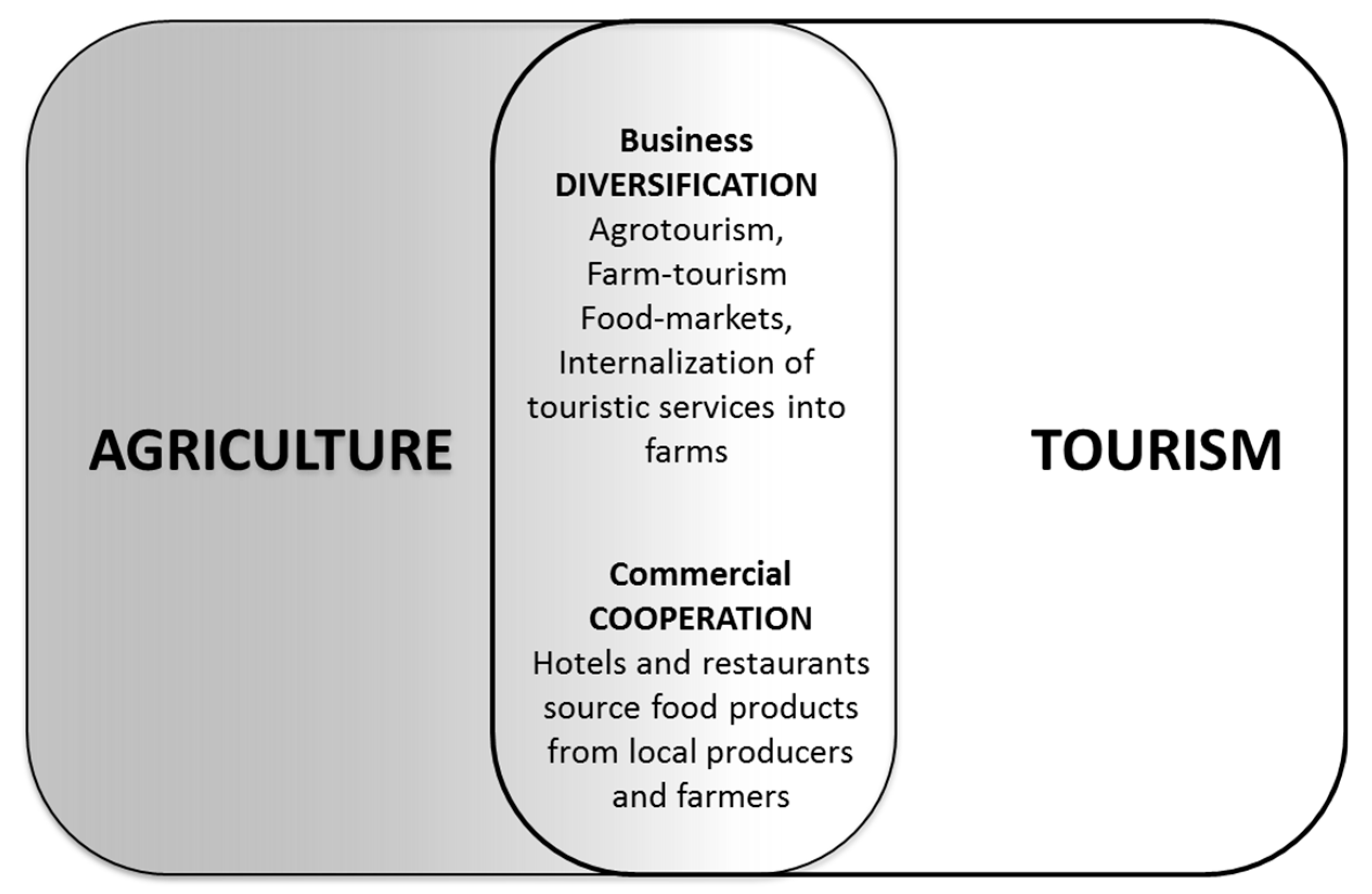 Socsci 09 00025 g001