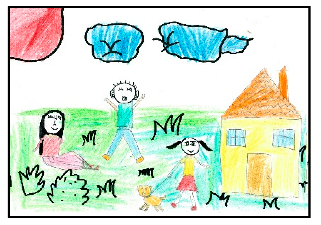 Socsci 09 00033 g001