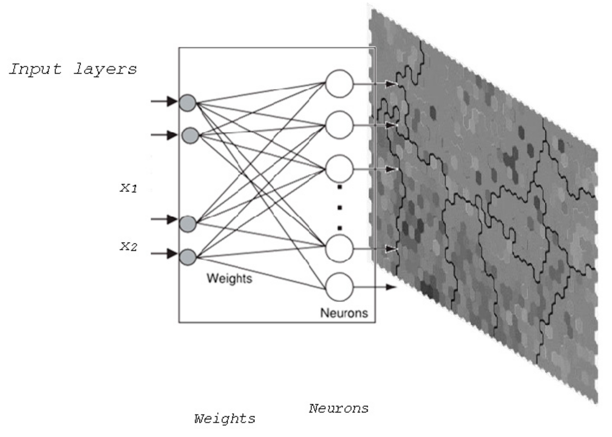Socsci 09 00056 g009 Socsci 09 00056 g009