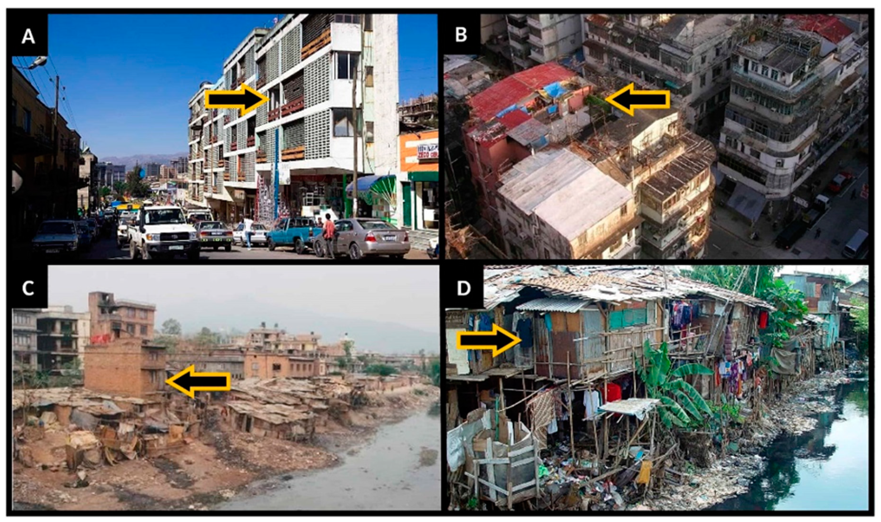 Socsci 09 00080 g001