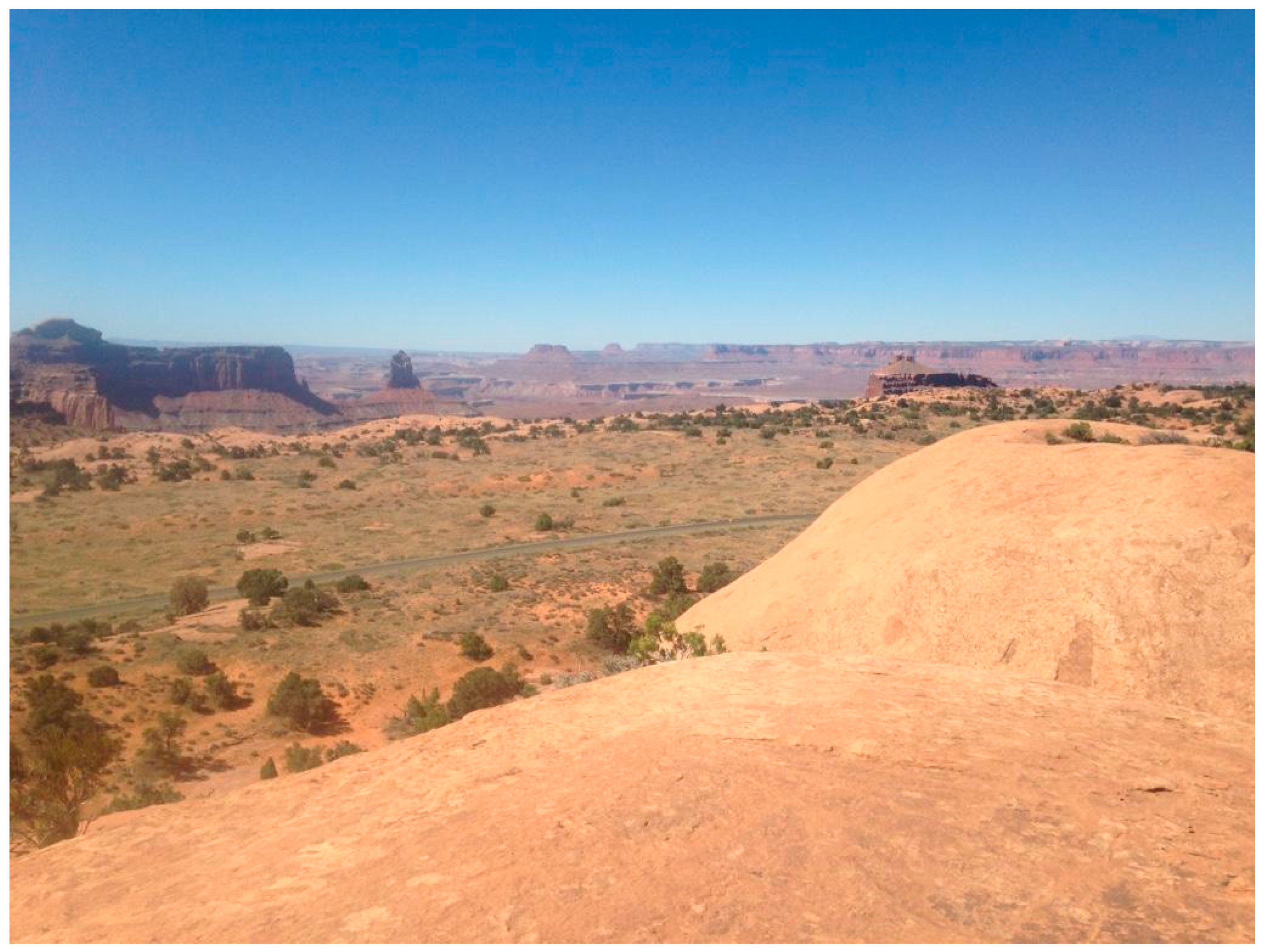 Socsci 09 00179 g004