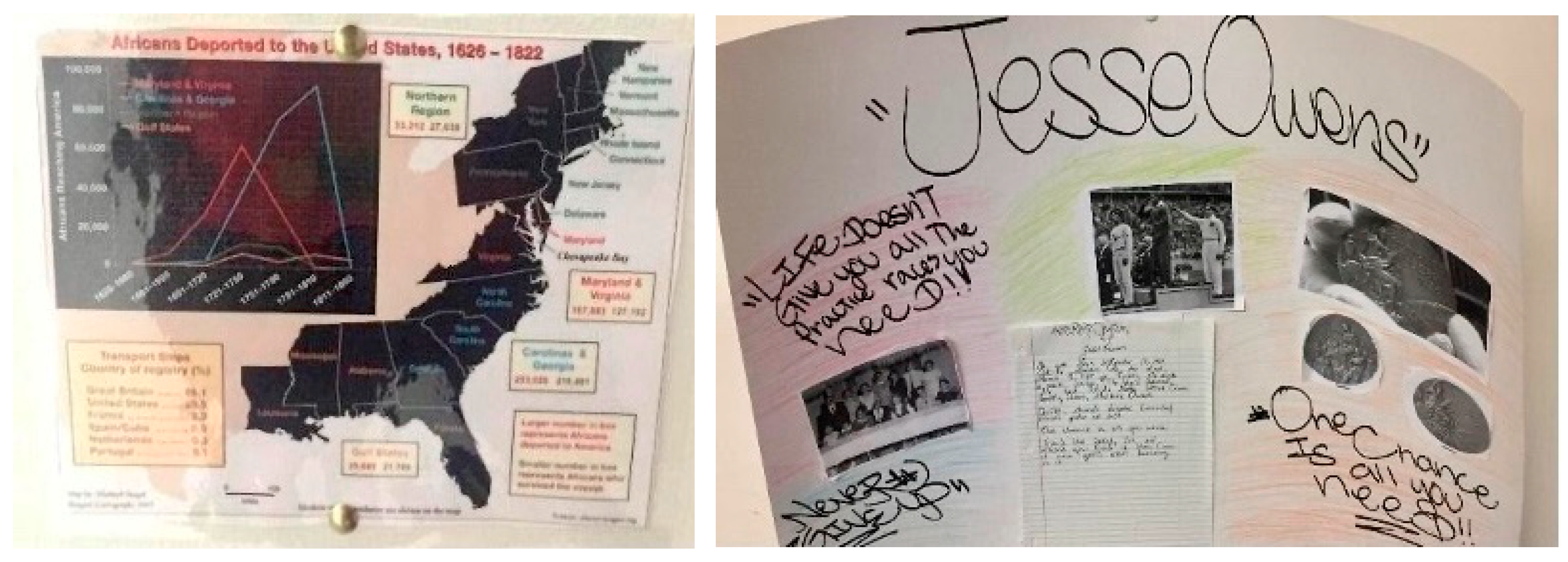 Socsci 09 00233 g001 Socsci 09 00233 g001